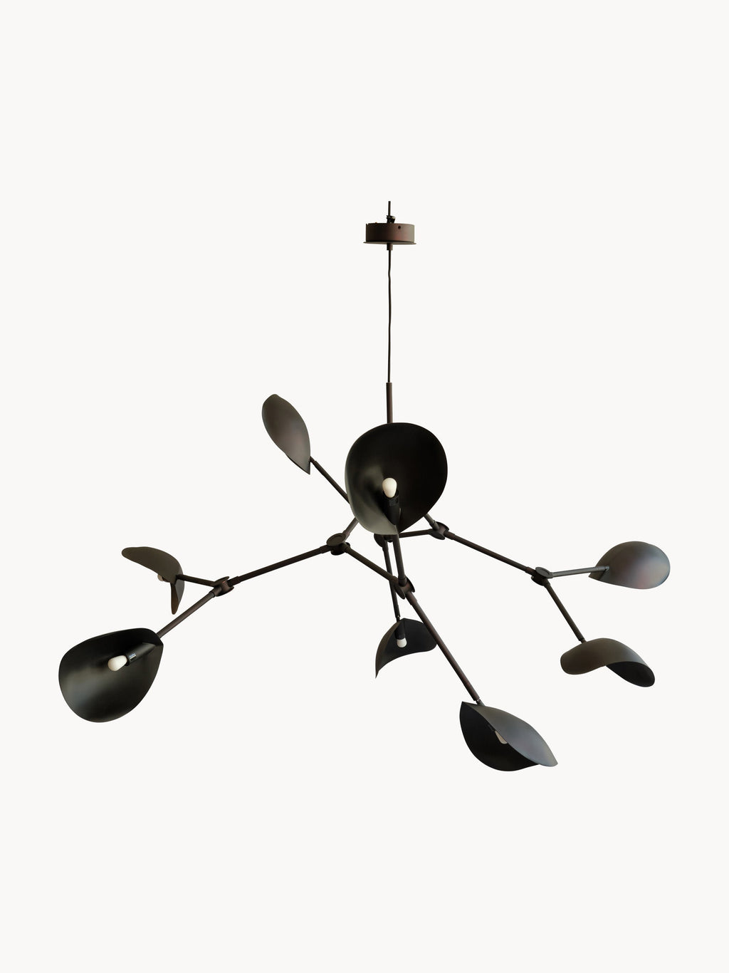 Stingray Large Chandelier, in various sizes
