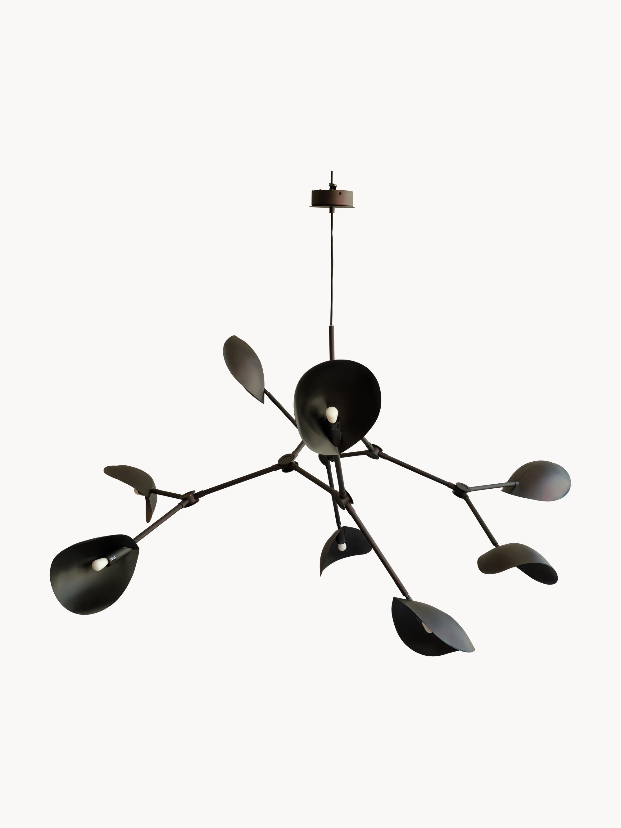 Stingray Large Chandelier, in various sizes