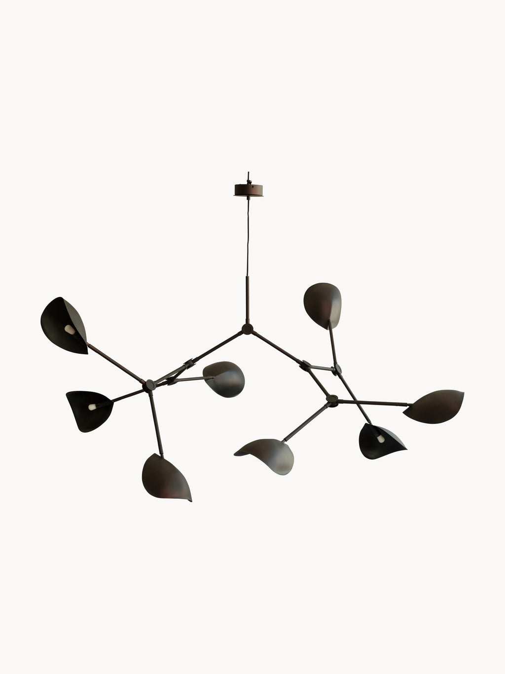 Stingray Large Chandelier, in various sizes