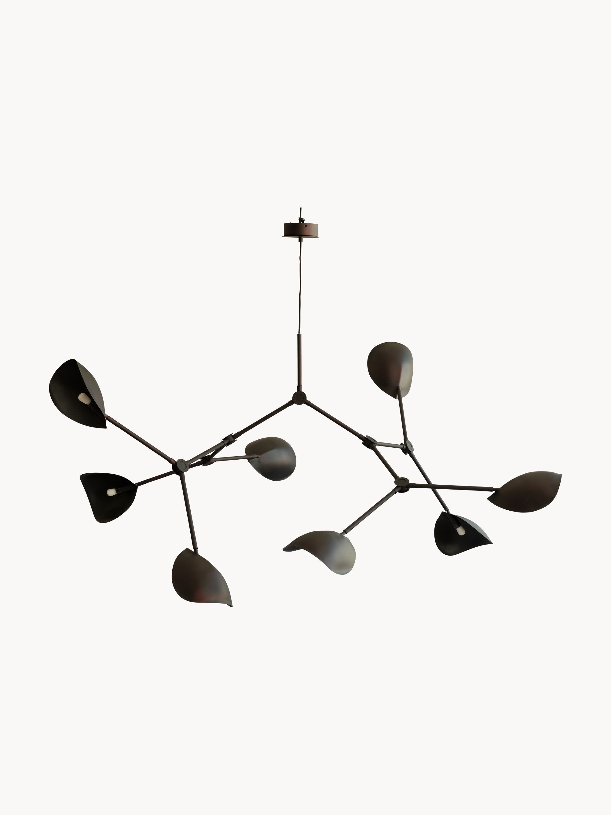 Stingray Large Chandelier, in various sizes