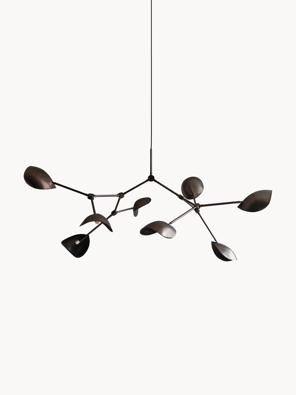 Gallery image 1 - Large Chandelier Stingray, in various sizes