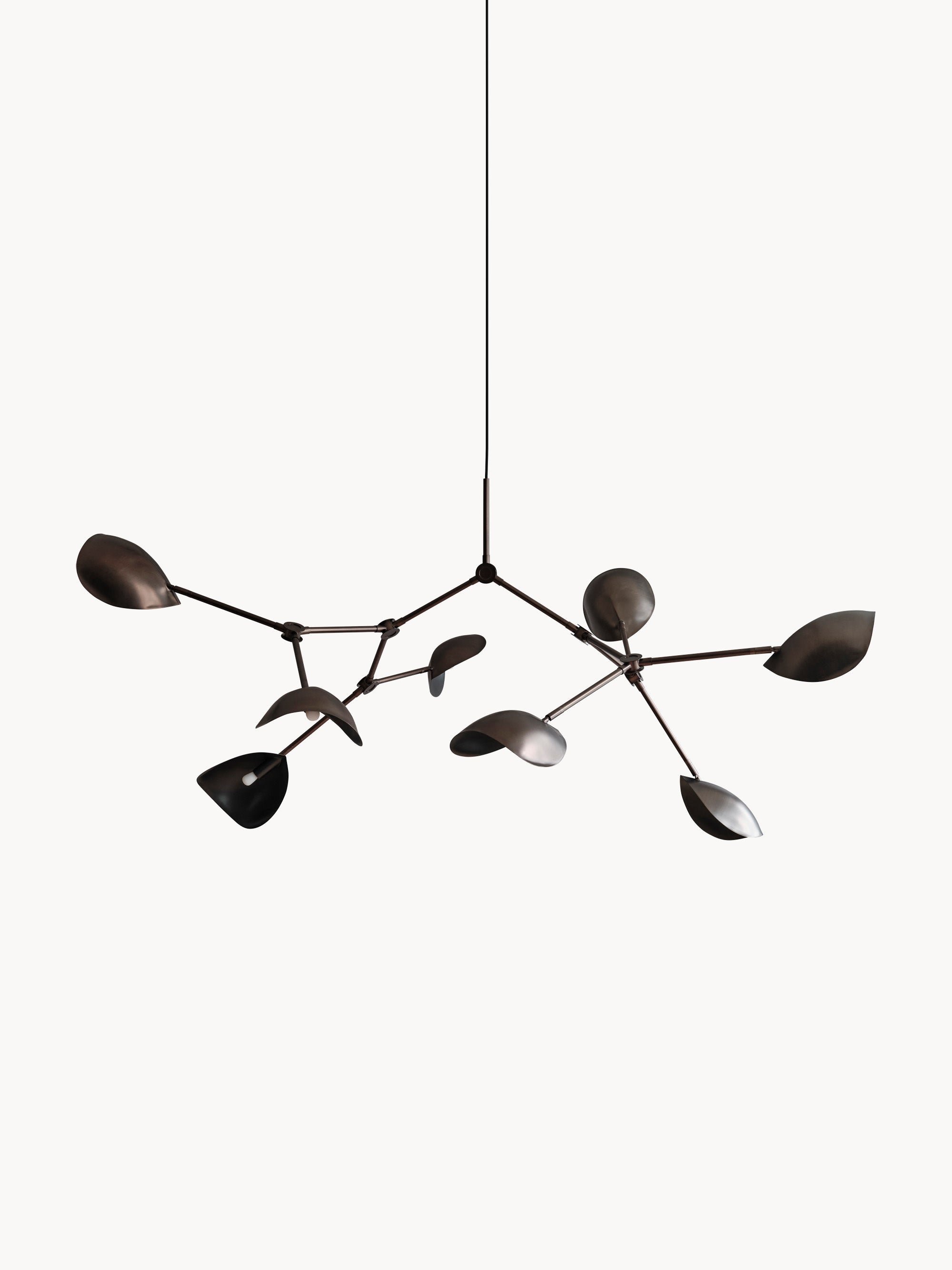 Gallery image 1 - Large Chandelier Stingray, in various sizes