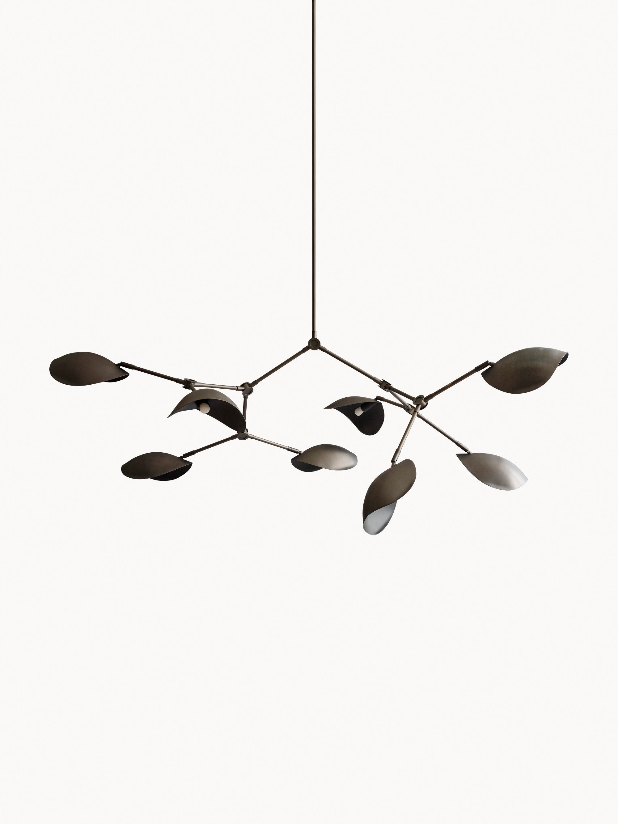 Stingray Large Chandelier, in various sizes
