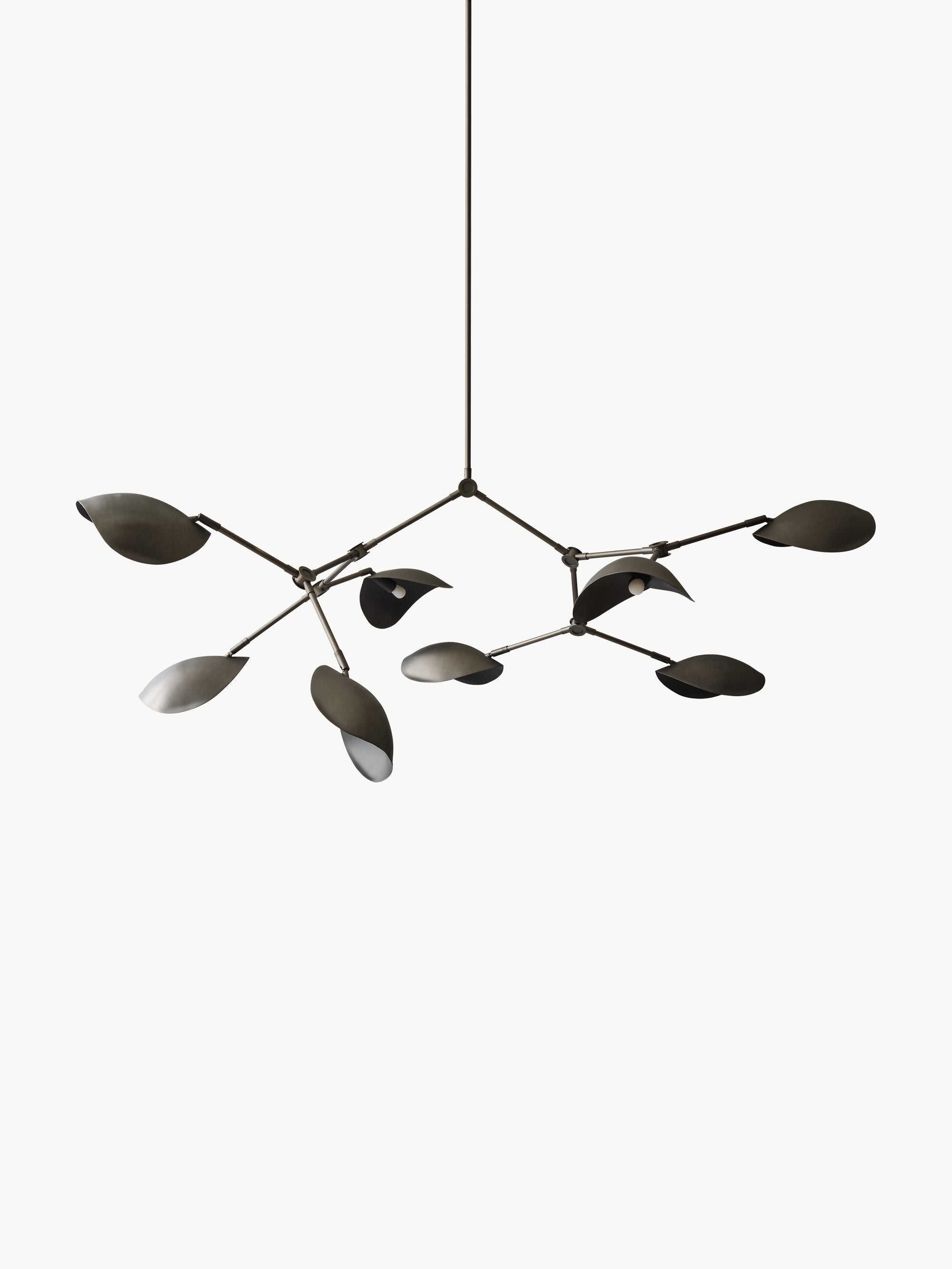 Stingray Large Chandelier, in various sizes