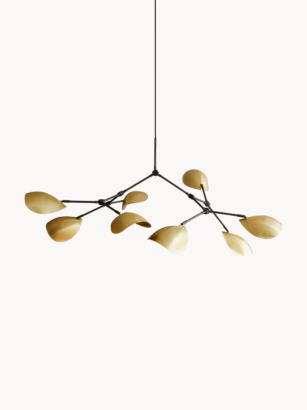 Gallery image 1 - Large Chandelier Stingray
