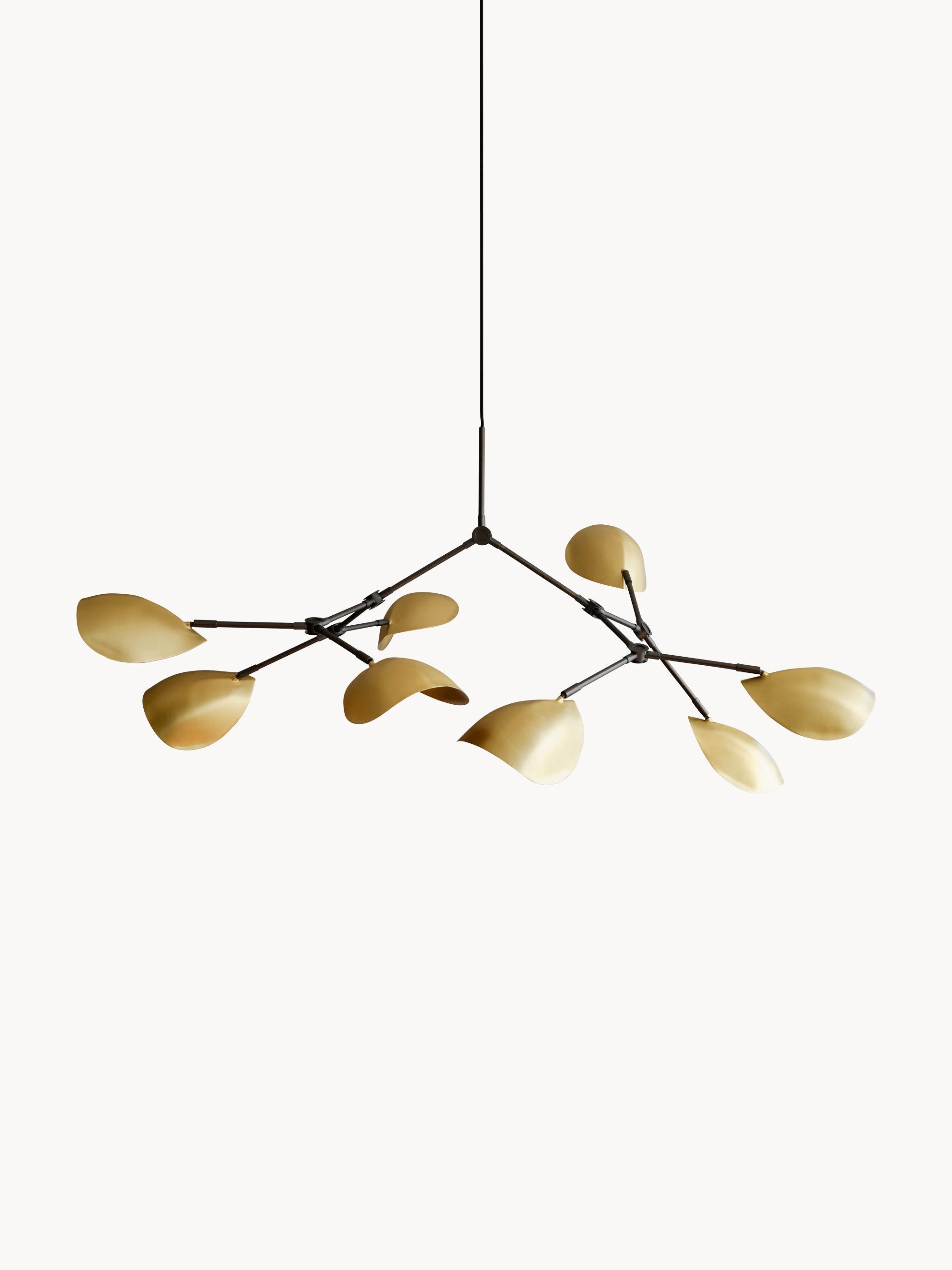 Gallery image 1 - Large Chandelier Stingray